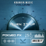 Pokyeo FX - Turn It Up